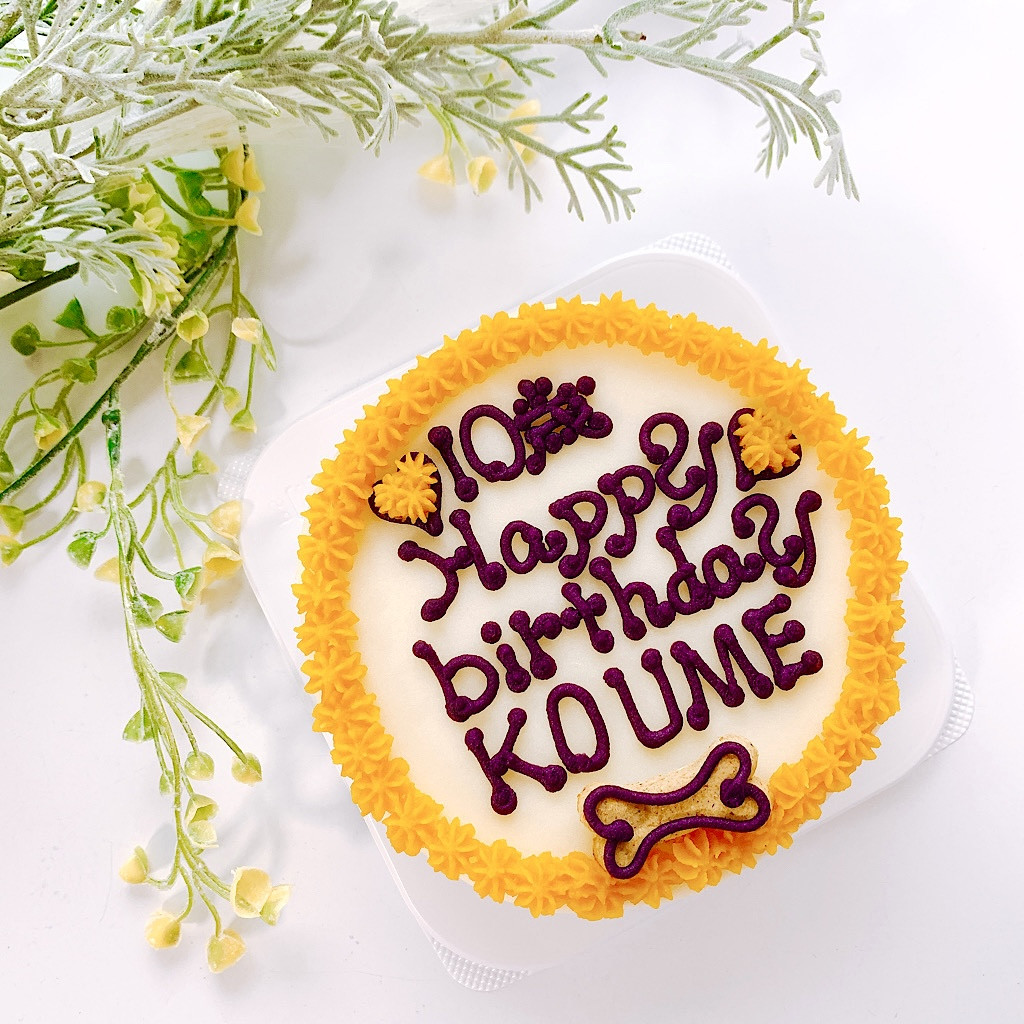 完全無添加愛犬用ケーキ 4号（DanayMommy(ダニーマミー)） | Cake.jp