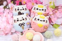 ひなまつりドーナツセット 1