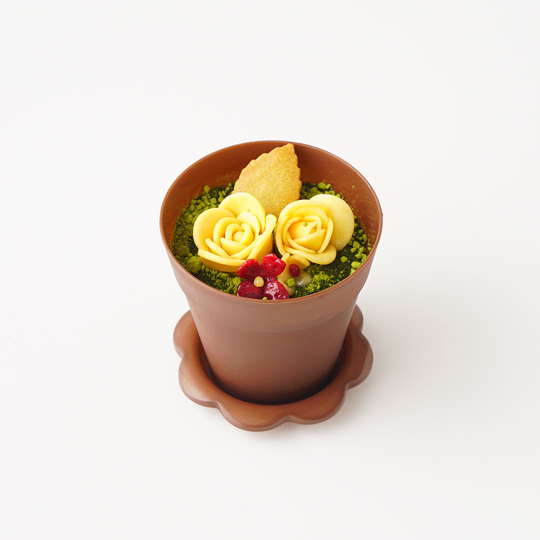 植木鉢ティラミス 2個入り スコップスプーン付（atelierA ） | Cake.jp