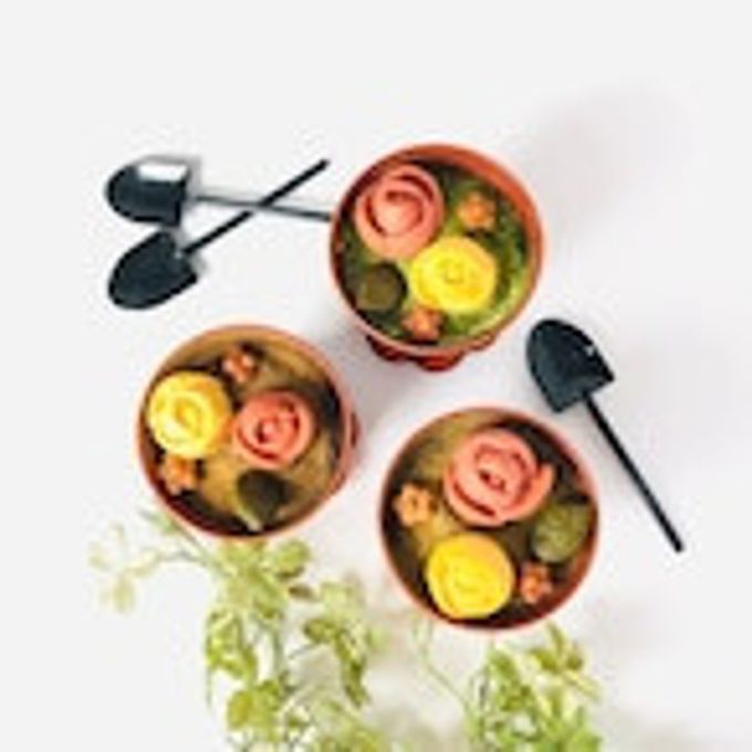鹿児島県産使用植木鉢ティラミス 3種セット スコップスプーン付  2