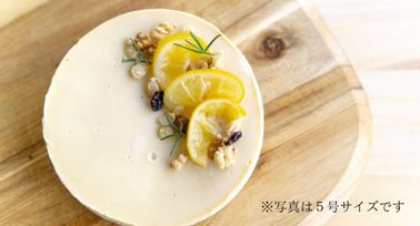 クリームチーズケーキ 4号 