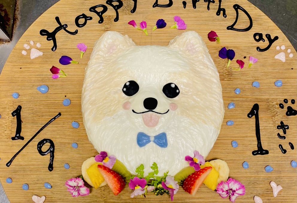 わんちゃんお誕生日お顔ケーキ 1
