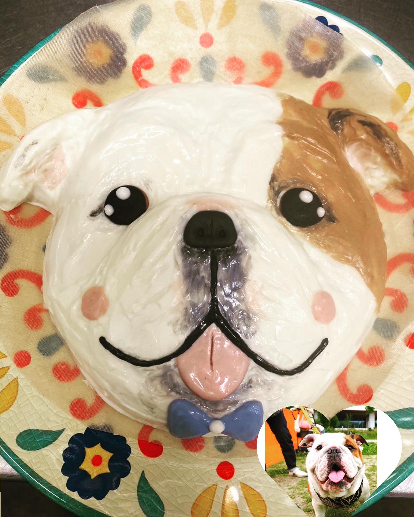 わんちゃんお誕生日お顔ケーキ（トラットリアラノッキオ） | Cake.jp