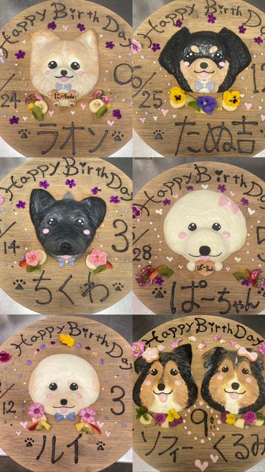 わんちゃんお誕生日お顔ケーキ 6