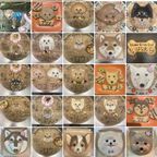 わんちゃんお誕生日お顔ケーキ 3