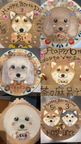 わんちゃんお誕生日お顔ケーキ 5