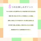 【完熟バナナのタルト】キャラメル、バナナ、タルトのシンプルベストの味わい ５号 4