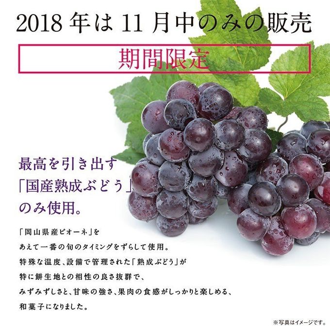 《フルーツ大福》ピオーネ6個 出雲よしおかジュエリーボックスSPオパールのぶどう DAIFUKU 3