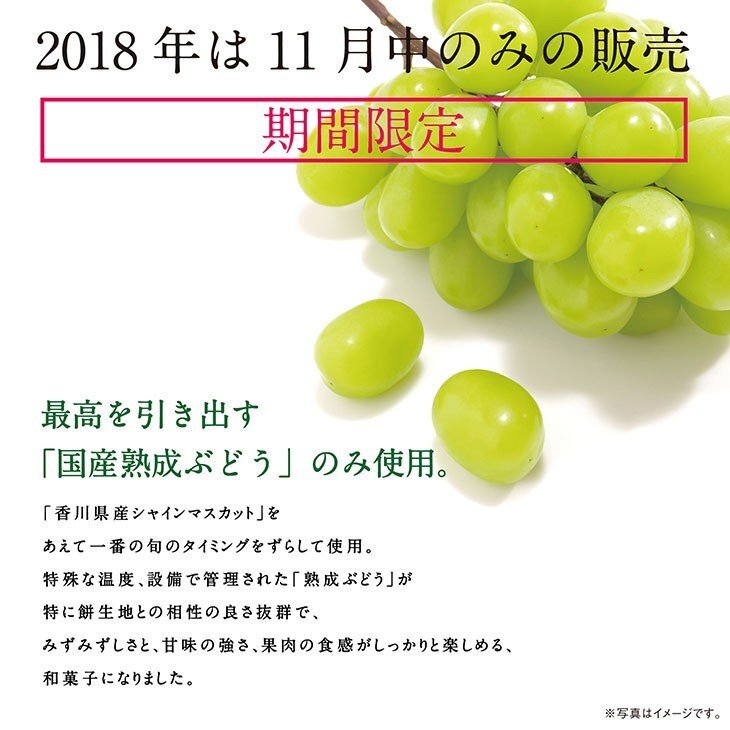 フルーツ大福》シャインマスカット6個 出雲よしおかジュエリーボックス 