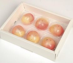 《フルーツ大福》満点の星パールマンゴー大福 6個入り