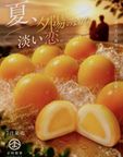 《フルーツ大福》満点の星パールマンゴー大福 6個入り 1