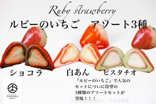 《 ルビーのいちご3種アソート 6個入り》《フルーツ大福》ジュエリーボックス 《ルビーのいちご》 DAIFUKU ありがとう 大福 お取り寄せ テレビで話題     クリスマス2025