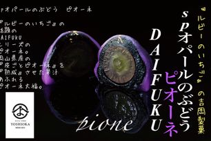 《フルーツ大福》ピオーネ6個 出雲よしおかジュエリーボックスSPオパールのぶどう DAIFUKU