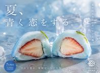 《 サマールビーのいちご 6個入り》《フルーツ大福》ジュエリーボックス 《ルビーのいちご》 DAIFUKU ありがとう 大福 お取り寄せ テレビで話題    3