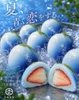 《 サマールビーのいちご 6個入り》《フルーツ大福》ジュエリーボックス 《ルビーのいちご》 DAIFUKU ありがとう 大福 お取り寄せ テレビで話題    2