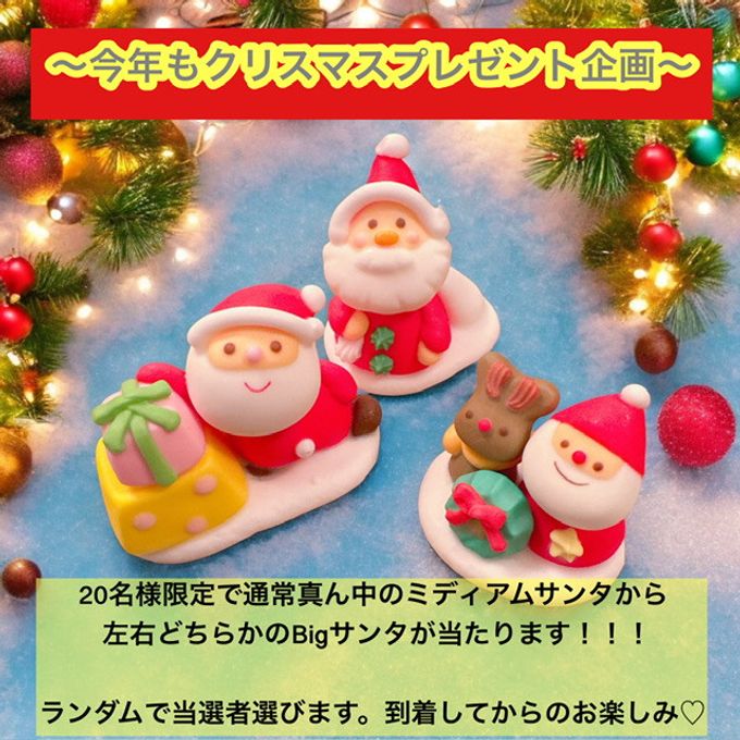 サンタさんの大忙しクリスマスパーティケーキ 5号 クリスマス2024 10