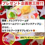 サンタさんの大忙しクリスマスパーティケーキ 5号 10