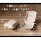 母の日限定価格！カーネーションフラワーセンイルケーキ 5号  8