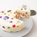 飾って楽しい お花のカッサータ 5号ハーフサイズ 2