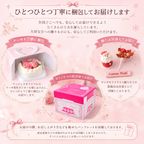 クリスマスケーキ「Noel」サンタ 4号  ショートケーキ クリスマス2026 9