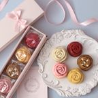 【季節限定】春色ミルメルシー ベルレーヌ５個入  2