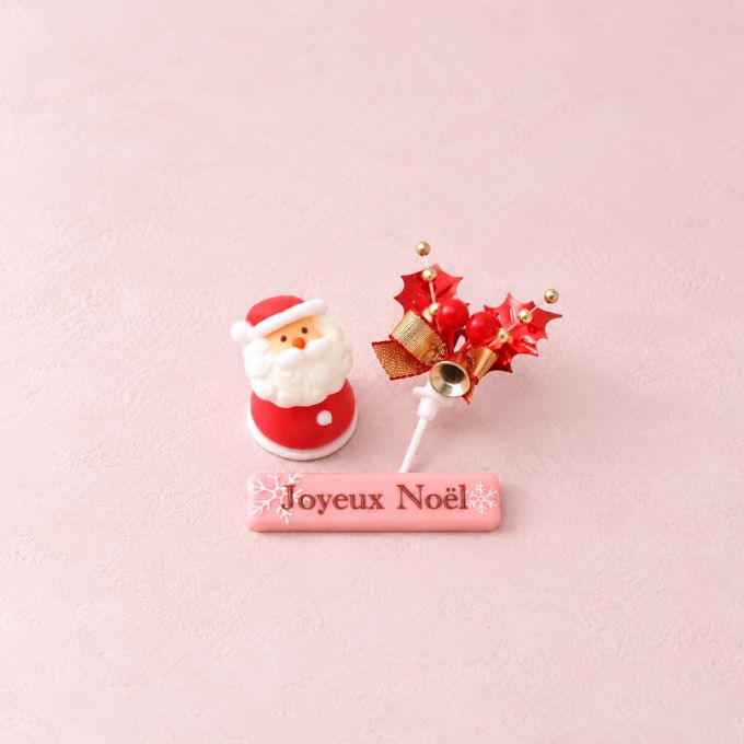 クリスマスローズガーデン4号 イチゴのケーキ クリスマス2026 6