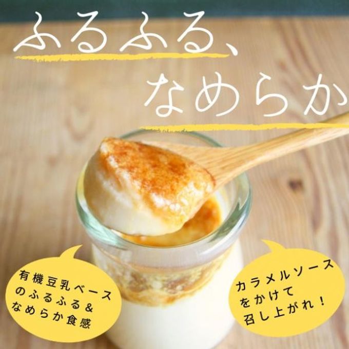 【期間限定】有機豆乳プリン(プレーン3個、チョコ3個) 《ヴィーガンスイーツ》《グルテンフリー》  3