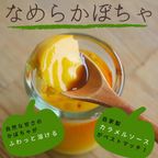 【期間限定】有機豆乳プリン（かぼちゃ3個、宇治抹茶3個）《ヴィーガンスイーツ》《グルテンフリー》 2