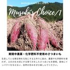 冬季限定＊おいものタルト《卵・乳・小麦・白砂糖不使用》《ヴィーガンスイーツ》 5