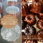 冷凍 10月＆11月限定商品 塩尻カヌレほうじ茶 10個 4