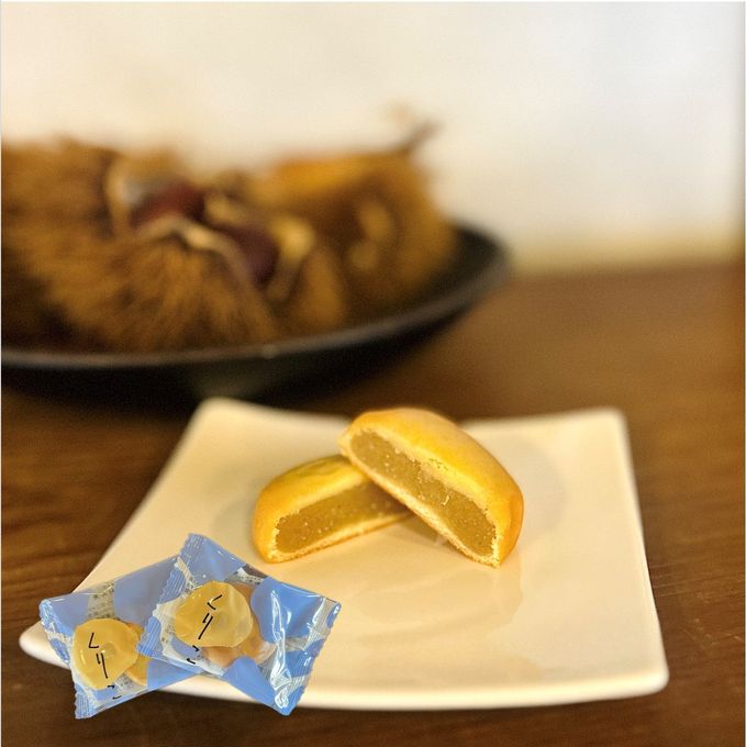 【日向利久庵】宮崎県 栗菓子専門店が作る  くりこ６個入り お歳暮2025 3