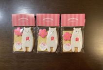 白くまクッキー×桜クッキー（おめでとうございます シール付き） 1