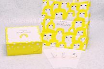 チーズケーキ専門店のチョコ掛けサブレＢＯＸ 3