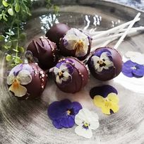 スイートチョコ/長スティック ビオラのお花ブーケ 6本セット 【】 