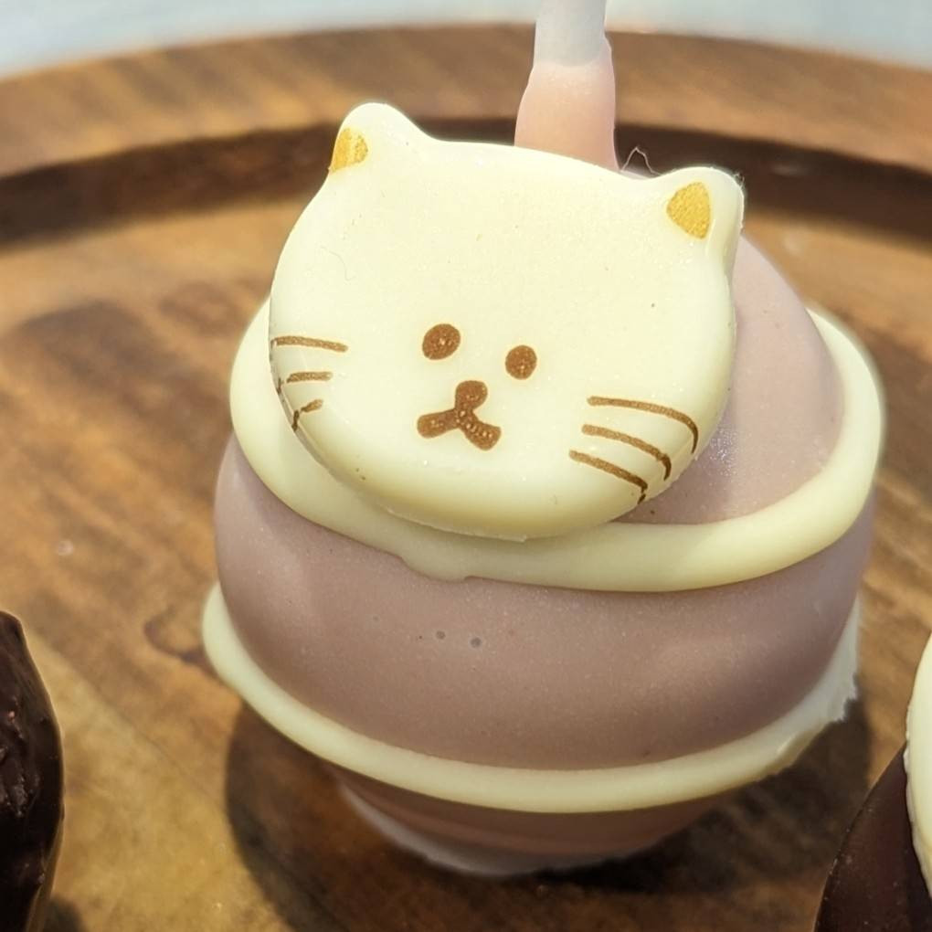 注目の 5本入ったねこポップケーキ テレビにも 猫ちゃんシール付き 人形