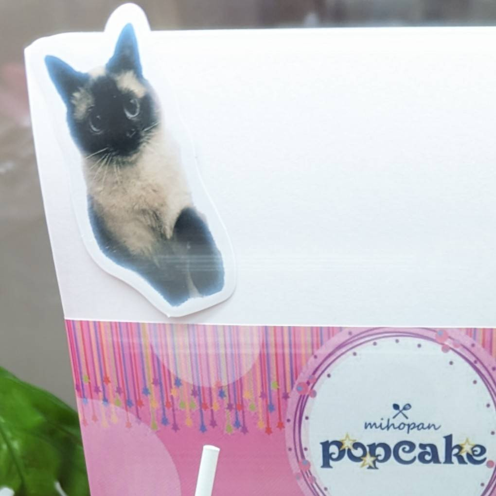 5本入ったねこポップケーキ【ニャンクス】 猫ちゃんシール付き テレビ