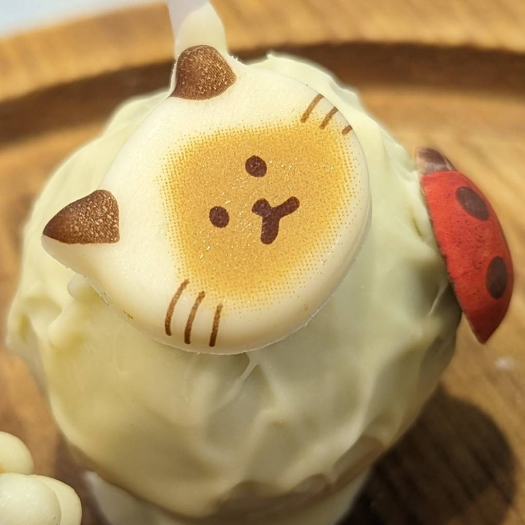 5本入ったねこポップケーキ 猫ちゃんシール付き テレビにも