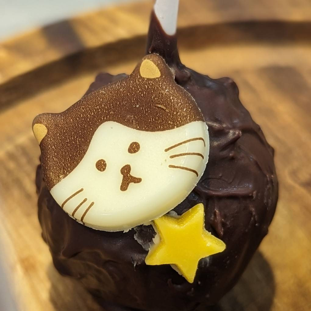 5本入ったねこポップケーキ 猫ちゃんシール付き テレビにも