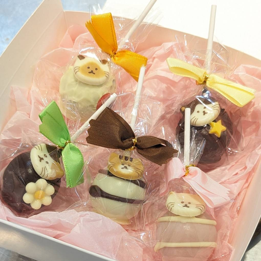 5本入ったねこポップケーキ 猫ちゃんシール付き テレビにも