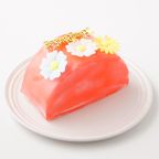 カラフルケーキ（生クリーム） ハーフケーキ  8
