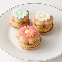 【Cake.jp限定】トゥンカロンショコラ（3個入り）  