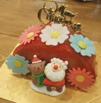 カラフルケーキ（チョコ）ハーフケーキ クリスマスver 