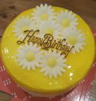 COLOR CAKE 生クリーム 5号 1