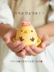 かわいい ぴよちゃんシフォン（プレーン） 5個入 1