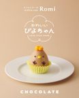 チョコぴよちゃん（チョコレート味）5個入 2