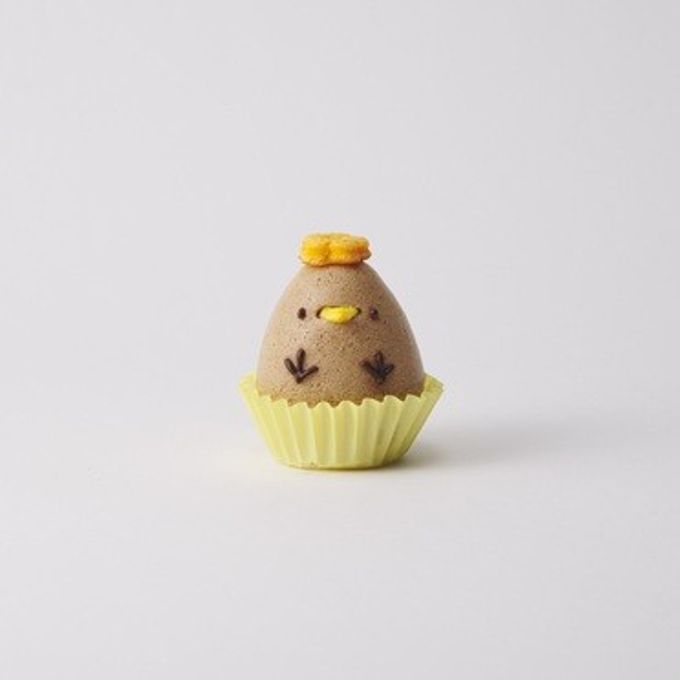 チョコぴよちゃん（チョコレート味）5個入 1