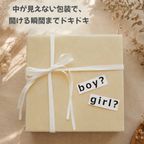 ジェンダーリビール６個セット 6