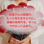 母の日gift〜マカロン９個セット〜 2