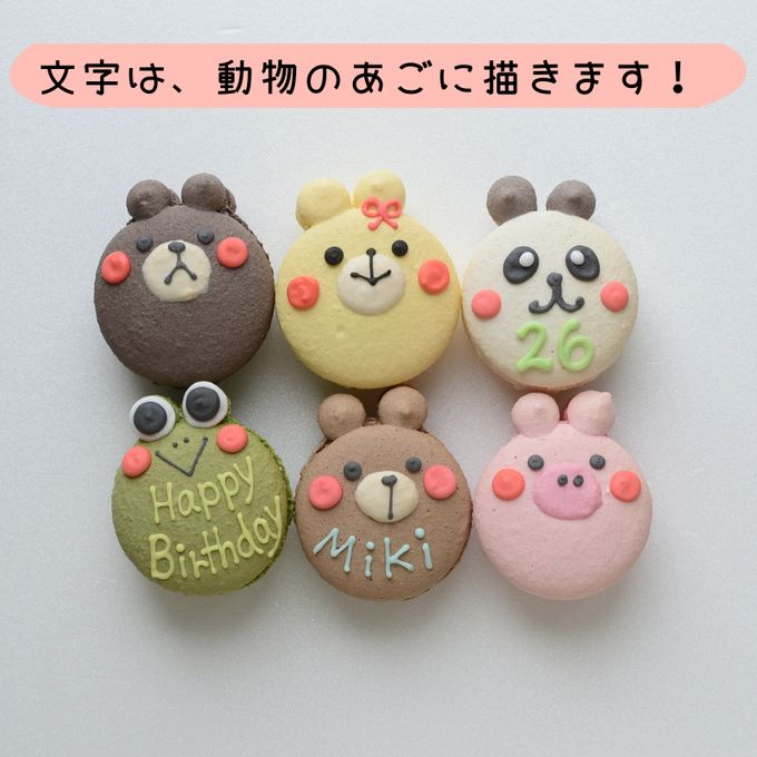 大人気！かわいい動物マカロンギフト 手描きイラスト入りマカロン 6個入り 2