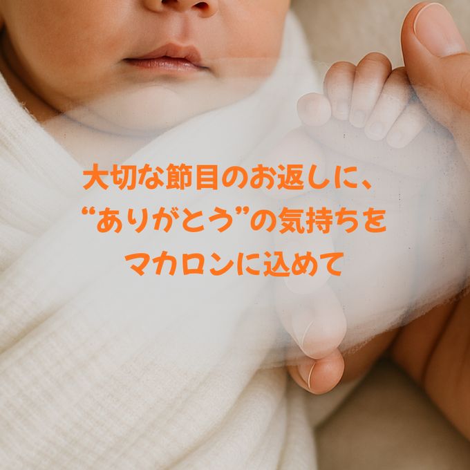 出産内祝ギフト 熨斗マカロン・名入れ/メッセージ 手描きイラスト入りマカロン 15個入り 2